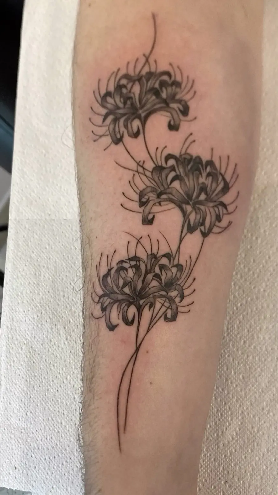 Tatuaje de flores araña en fine line y black work sobre el antebrazo